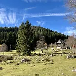 Bienek By Interhome Schluchsee