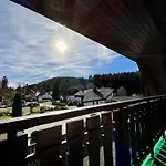 Bienek By Interhome Appartement Schluchsee