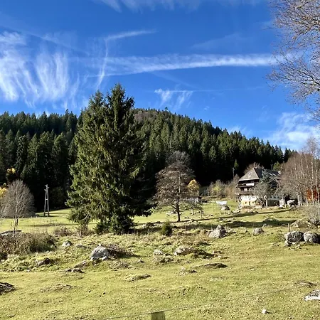 Bienek By Interhome Шлухзее