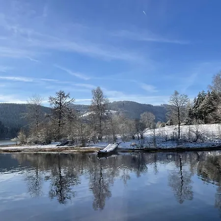 Bienek By Interhome Шлухзее